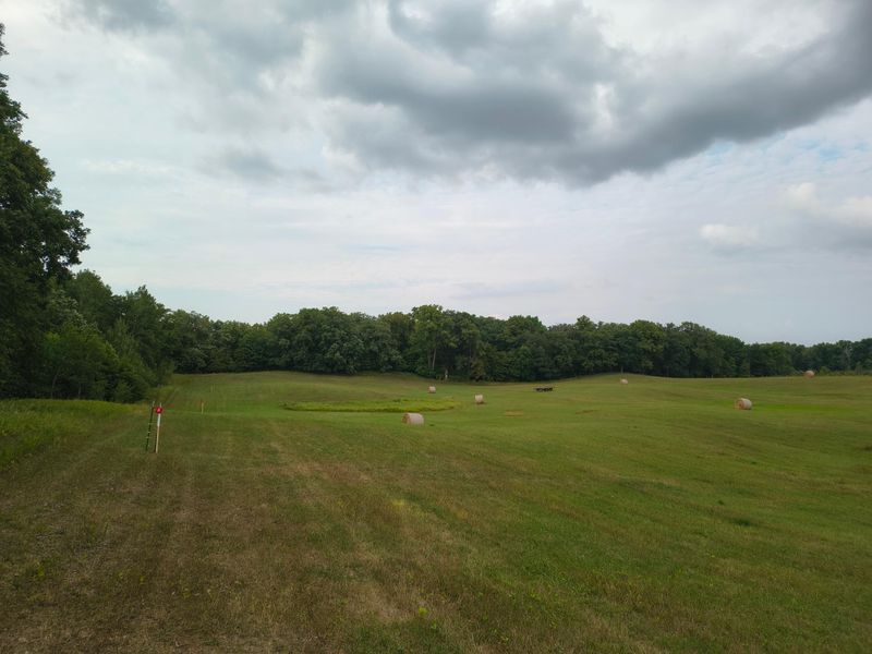 3401 Buckskin Rd NE, Carlos, MN 56319