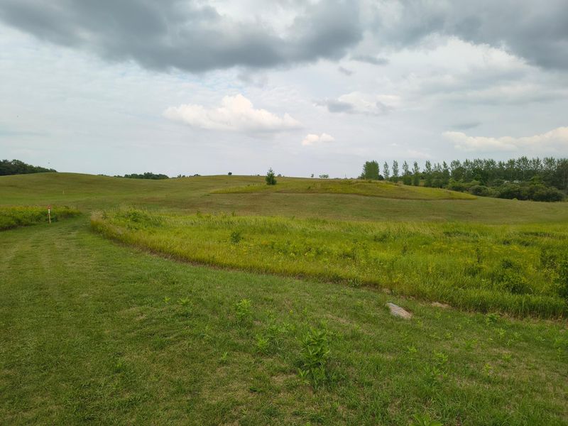 3401 Buckskin Rd NE, Carlos, MN 56319