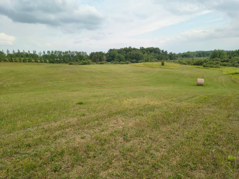 3401 Buckskin Rd NE, Carlos, MN 56319