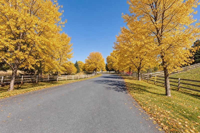 575 Kokesh Farm Rd, Orono, MN 55359