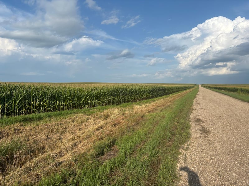 320th St 630th And 320th, Chokio, MN 56221