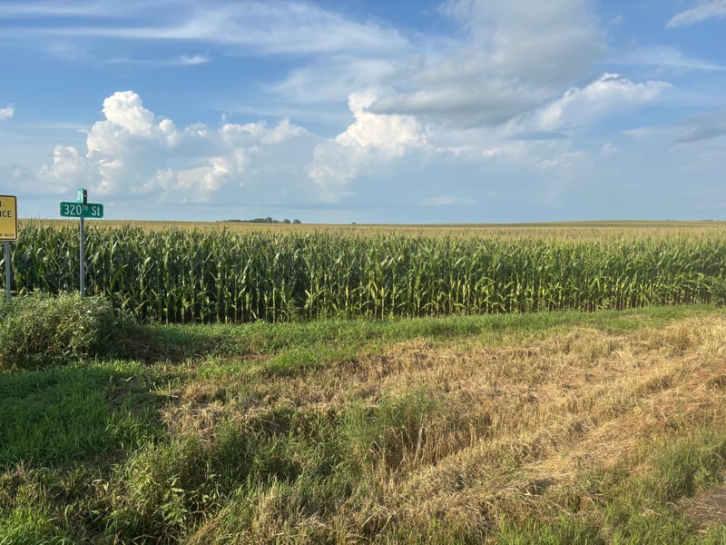 320th St 630th And 320th, Chokio, MN 56221