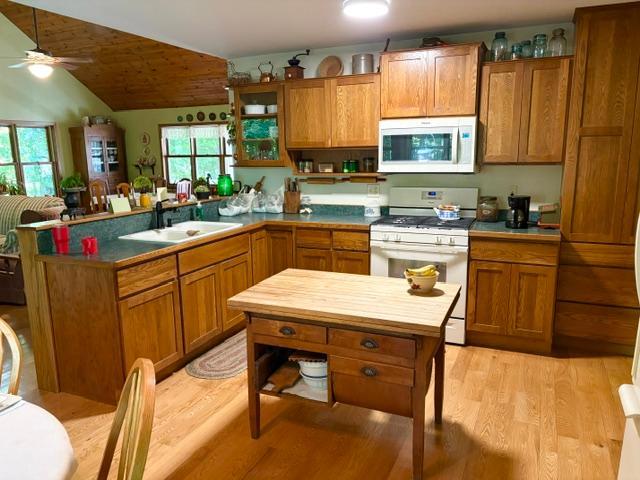 1588 Apple River Ln #A, Balsam Lake, WI 54810