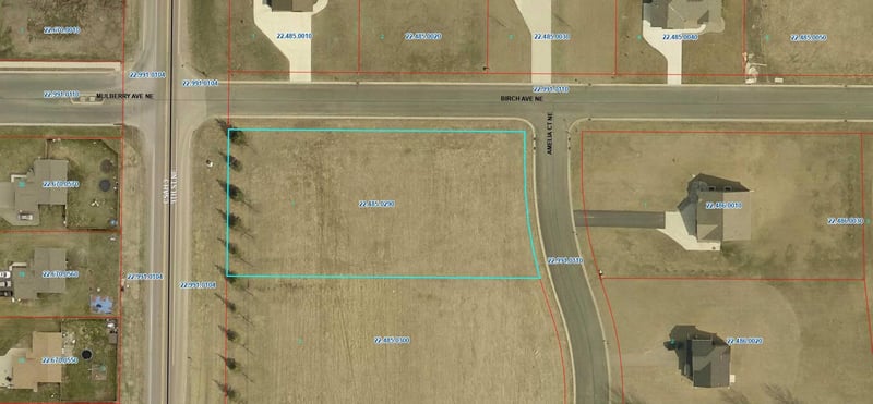919 Amelia Ct NE, Montgomery, MN 56069