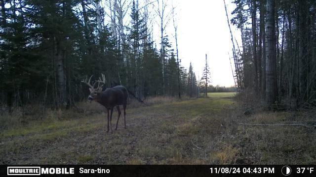 TBD Arkola Rd, Toivola, MN 55765