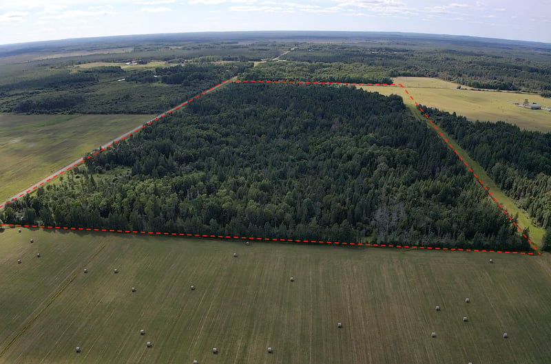 TBD Saralampi Rd, Toivola, MN 55765