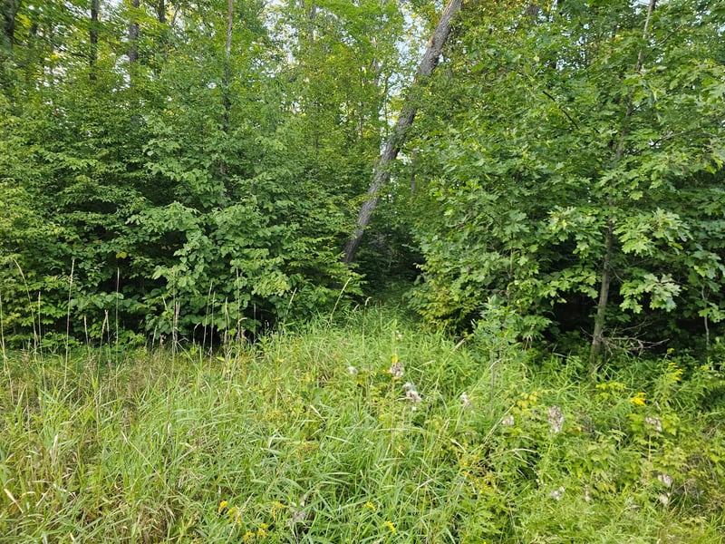 Lot 3 Woodlands Rd, Aitkin, MN 56431