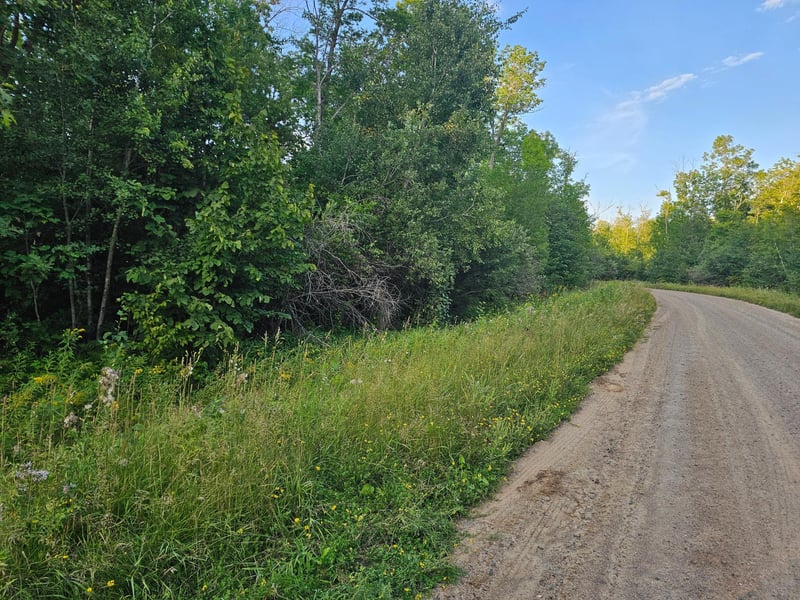 Lot 3 Woodlands Rd, Aitkin, MN 56431