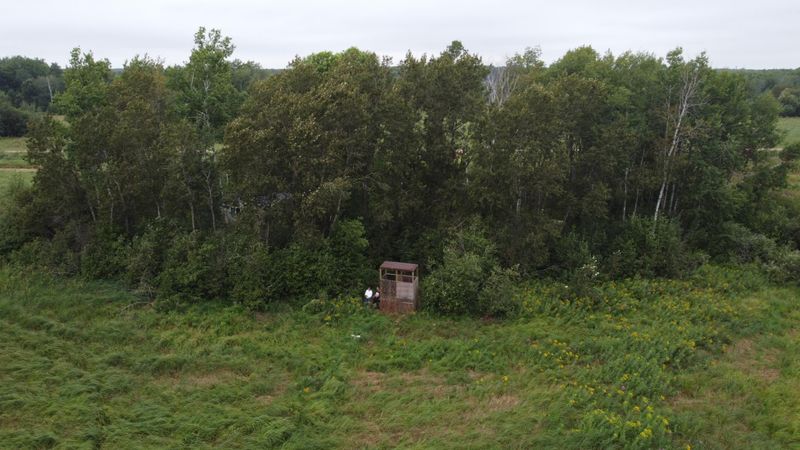 2236 Meadowview Rd, Brainerd, MN 56401