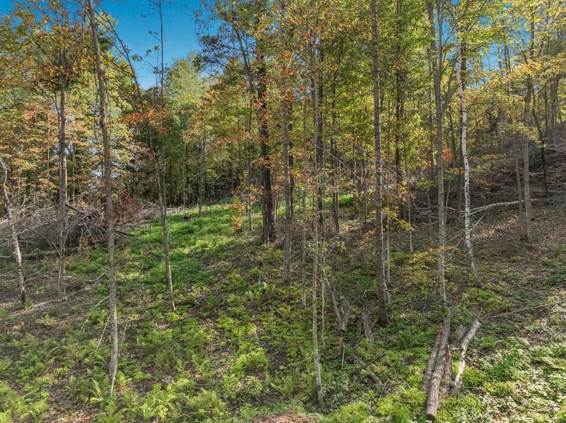 Lot 2 TBD 1240th Ave, New Haven Twp, WI 54734