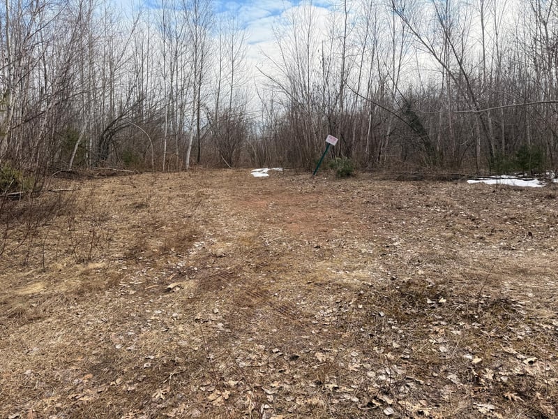 TBD Happy Tree Ln, Bruno, MN 55712