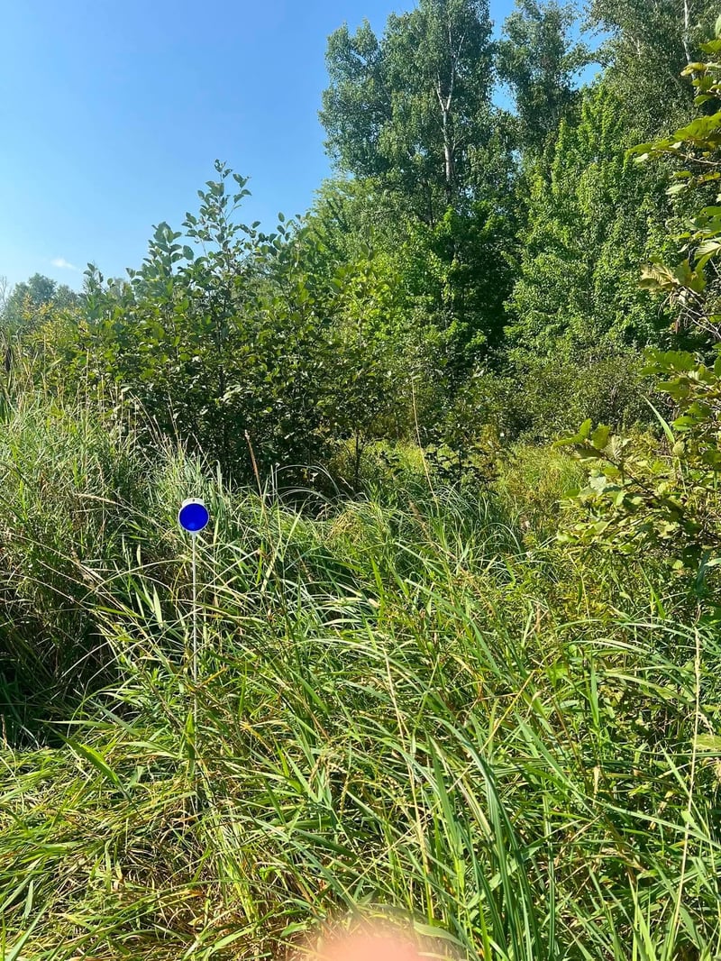 TBD Happy Tree Ln, Bruno, MN 55712