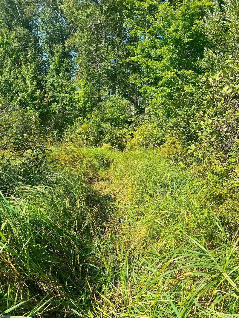 TBD Happy Tree Ln, Bruno, MN 55712