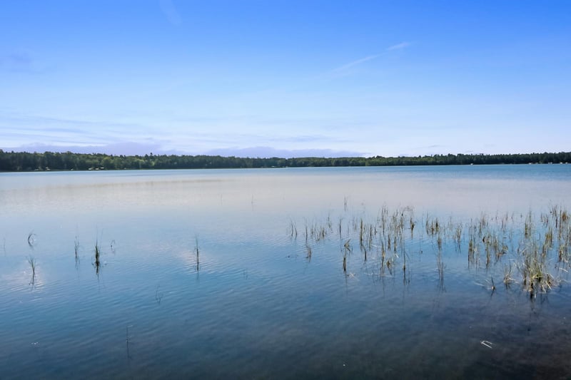 5553 Wilderness Rd, Pequot Lakes, MN 56472