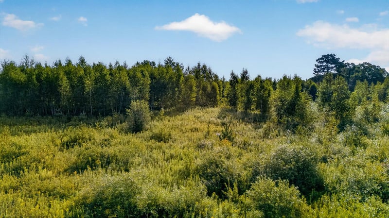 TBD Olson Rd, Hinckley, MN 55037