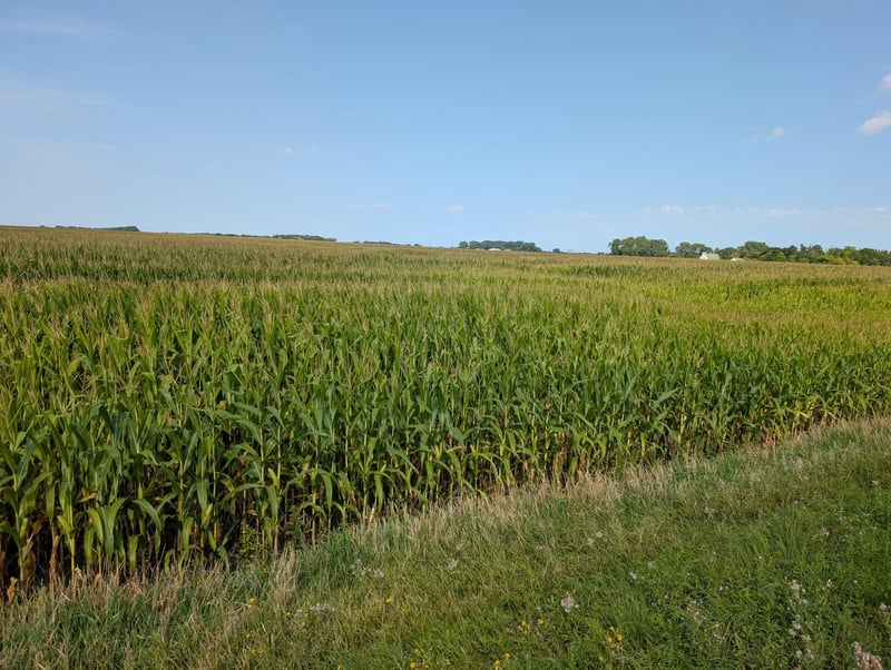 61203 150th St, Chokio, MN 56221