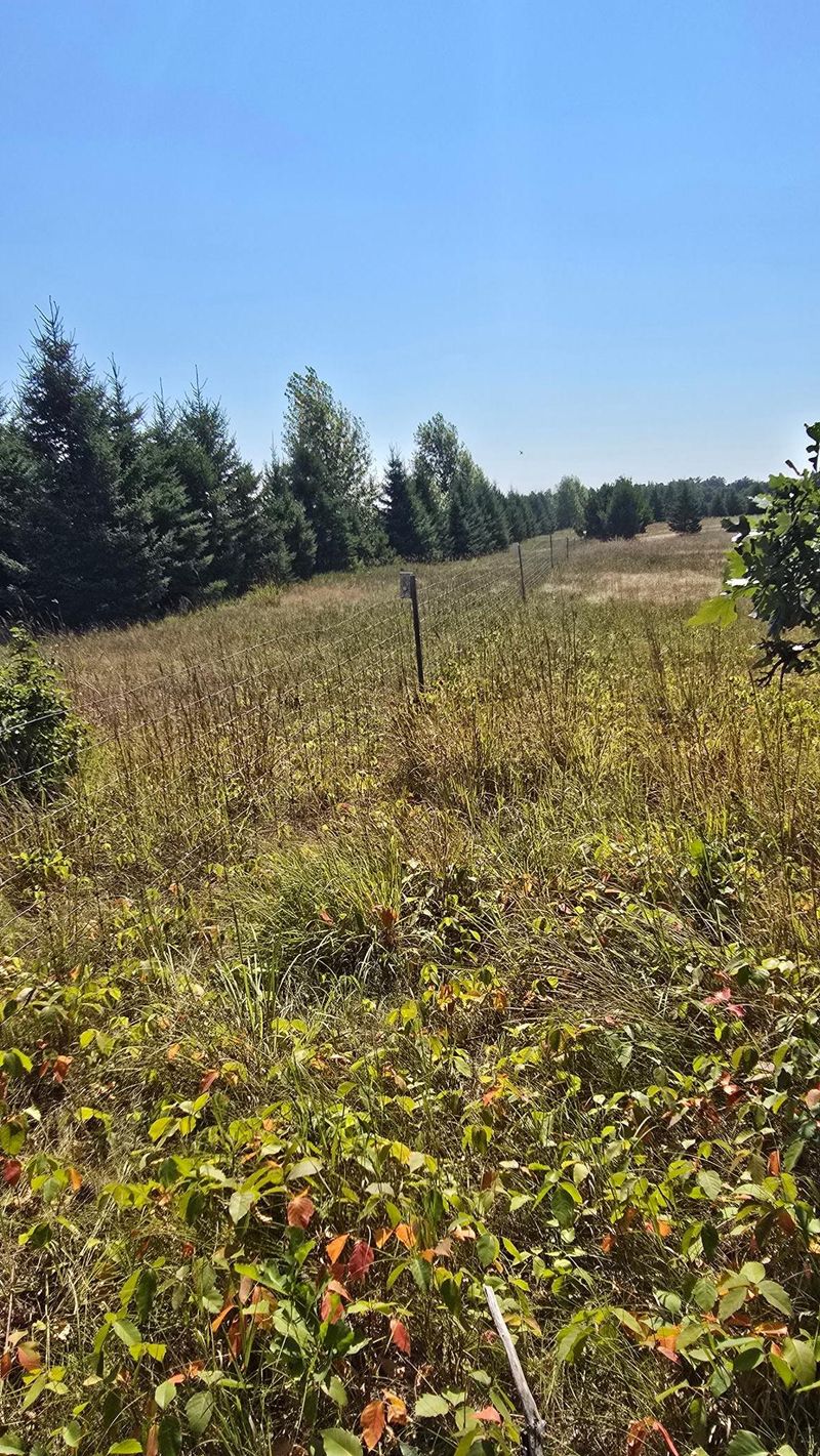 TBD Ravenswood Rd, Brainerd, MN 56401