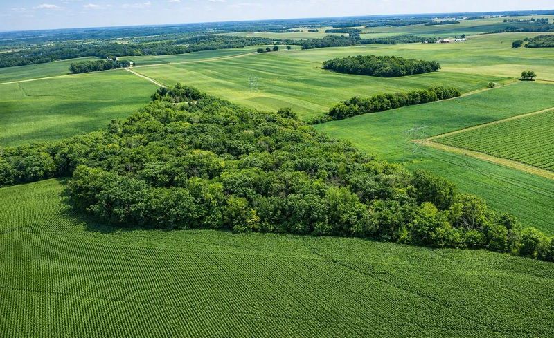 TBD Nicolai Ave, Hastings, MN 55033