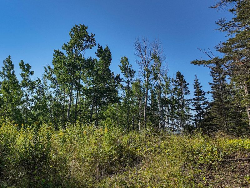 XXX Casper's Hill Rd, Grand Marais, MN 55604