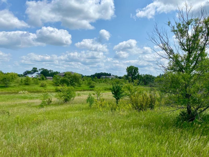 XX32 Country Estates Dr, Ida Twp, MN 56308