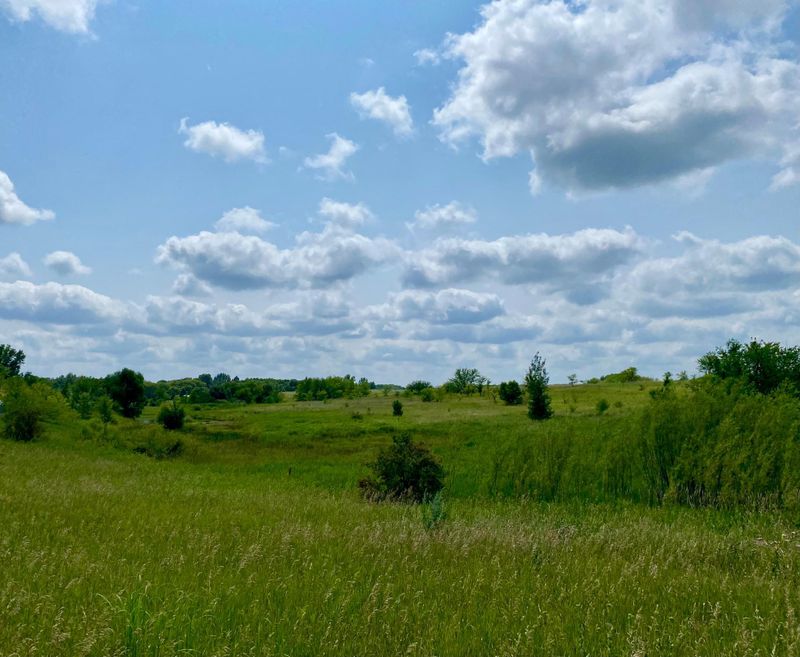 XX32 Country Estates Dr, Ida Twp, MN 56308