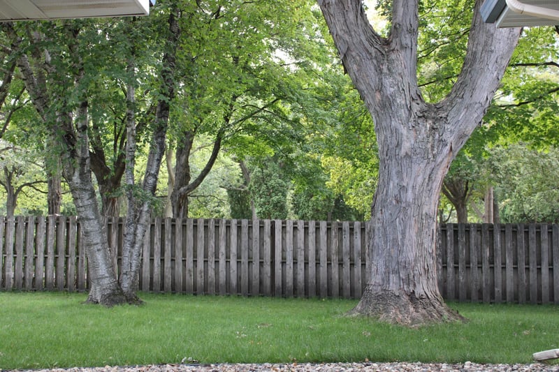 958 Jorgenson St SE, Hutchinson, MN 55350
