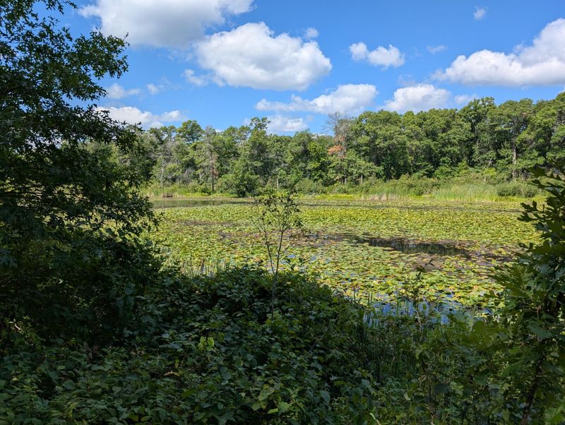 Lot 9 block 1 Fawn Lake Rd, Cross Lake, MN 56442