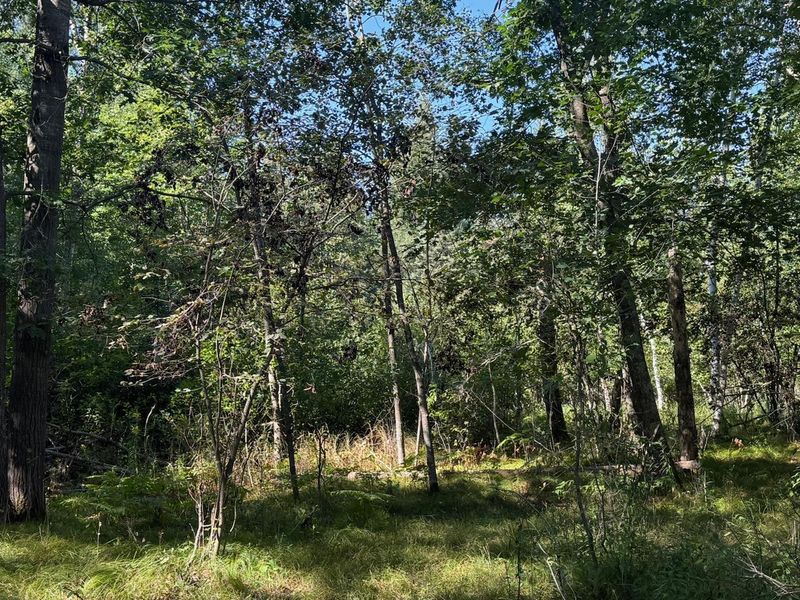 76617 Debbie Ridge Rd, Willow River, MN 55795