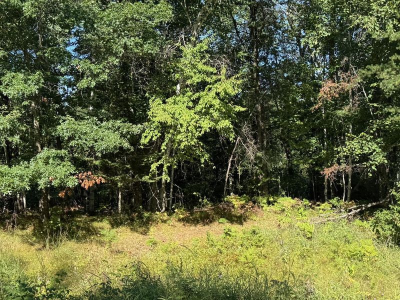 76617 Debbie Ridge Rd, Willow River, MN 55795