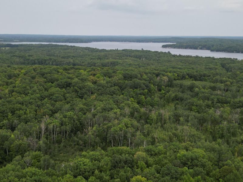 TBD 324th Ave, Pierz, MN 56364