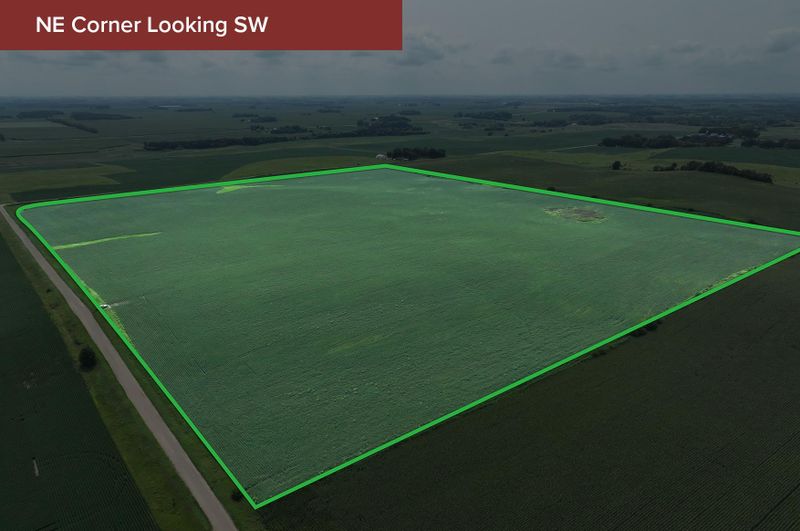 168th St 168th St, Otisco Twp, MN 56093