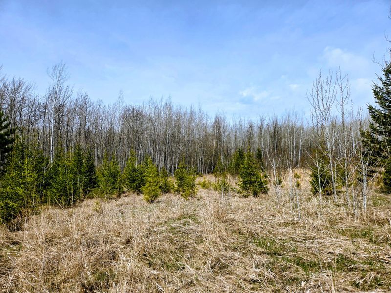 17 County Rd, Mizpah, MN 56660