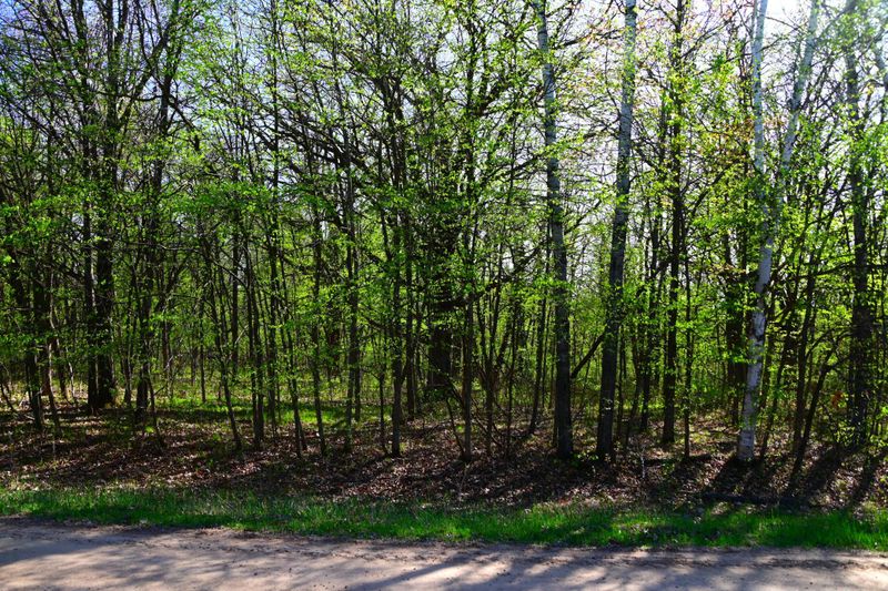 28329 Orchard Dr, Browerville, MN 56438
