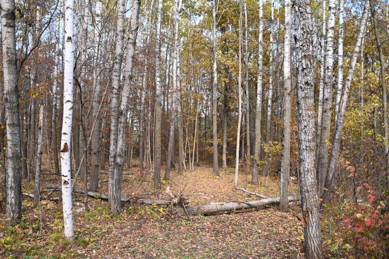 39924 Oriole Ct, Browerville, MN 56438