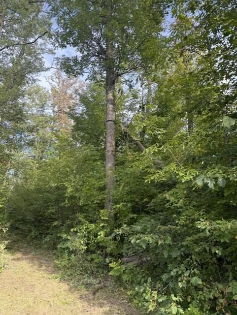 TBD Great River Rd, Palisade, MN 56469