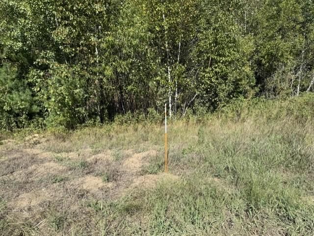 TBD 241st Ave, Stacy, MN 55079