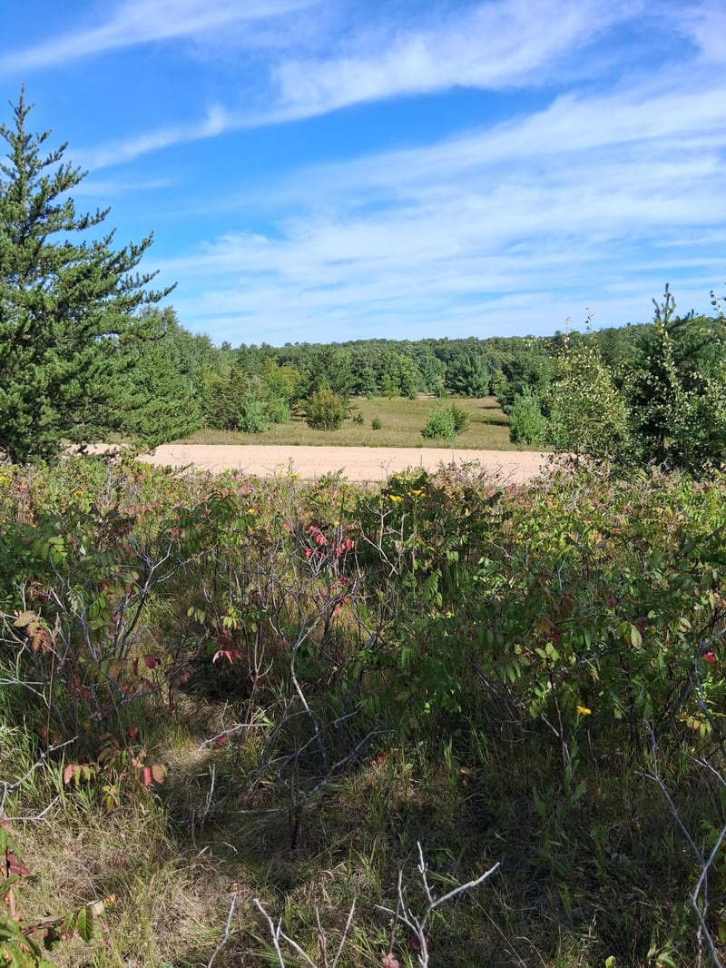 TBD Overland Dr, Browerville, MN 56438