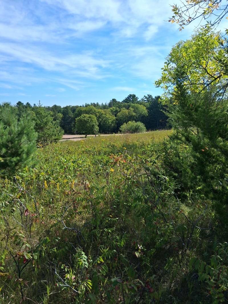 TBD Overland Dr, Browerville, MN 56438