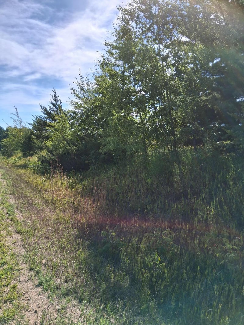 TBD Overland Dr, Browerville, MN 56438