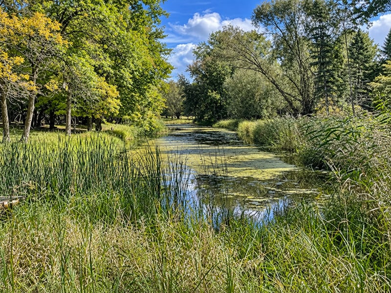 27123 Timber Hills Ln, Battle Lake, MN 56515