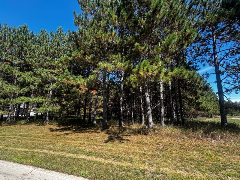 TBD Emerald Dr, Alexandria, MN 56308