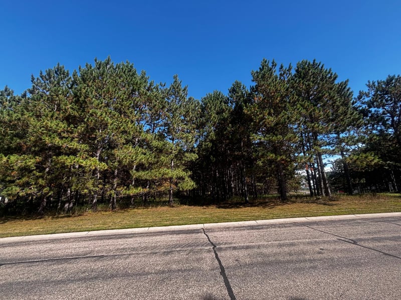 TBD Emerald Dr, Alexandria, MN 56308