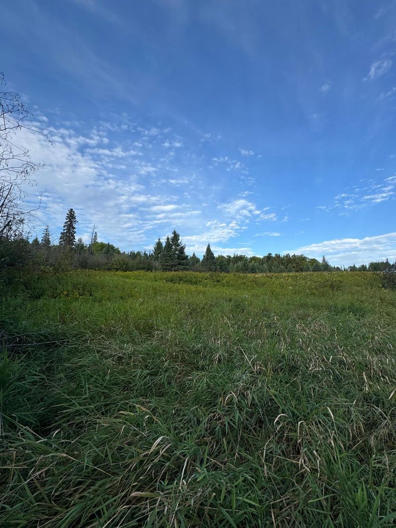 TBD Gull Lake Loop Rd, Hines, MN 56647