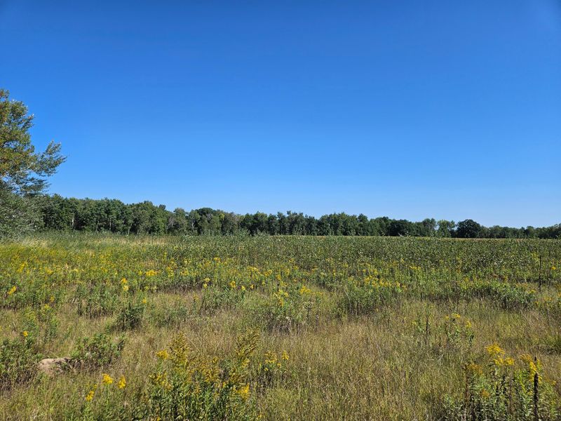 xxxx 313th Ave, Princeton, MN 55371