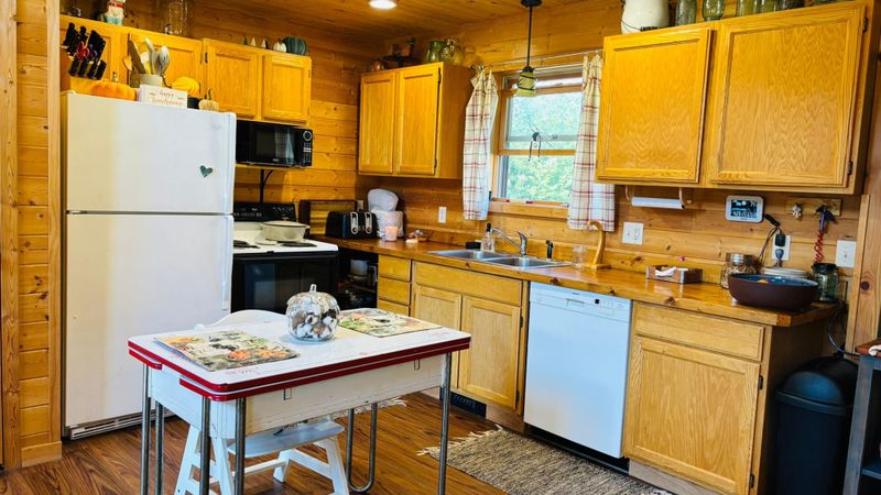 39446 Old Backboard Rd, Laporte, MN 56461