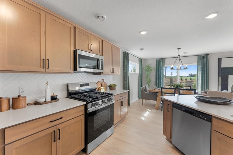 1036 Adamstown Dr, Rosemount, MN 55068