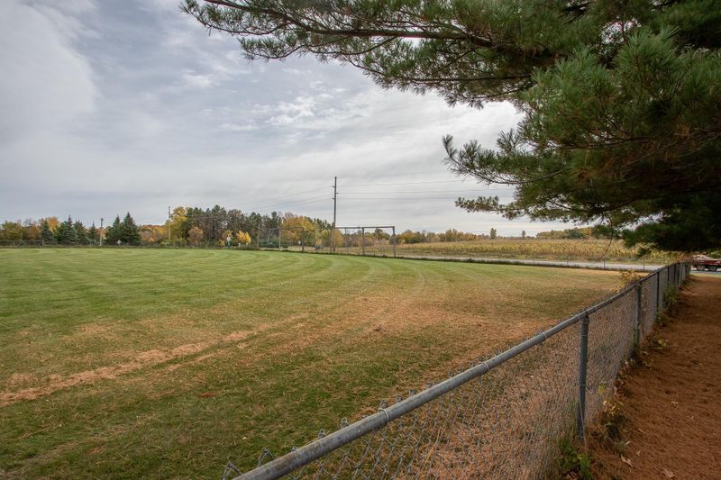 49050 N Alpine Ave, Stanchfield, MN 55080