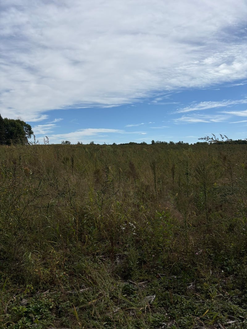 TBD Holman Ave, Harris, MN 55032