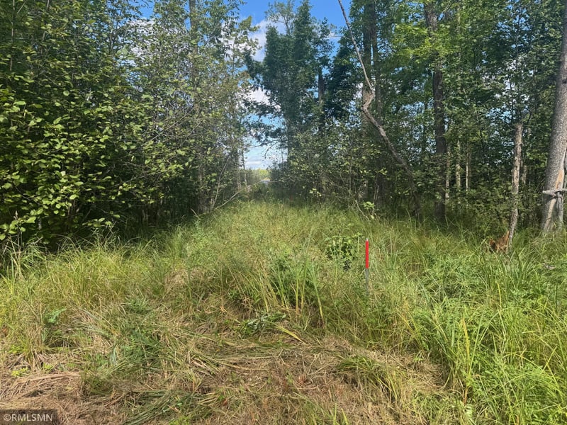 TBD Sheshebe Rd, Mcgregor, MN 55760