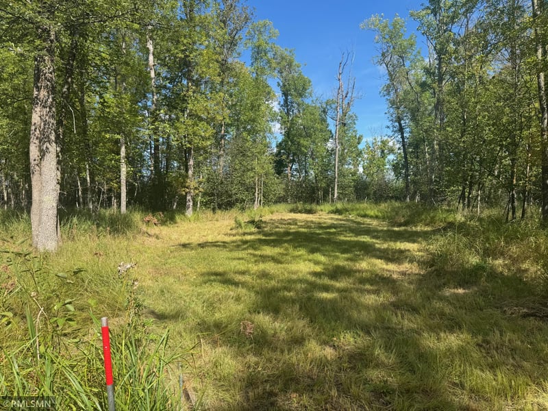 TBD Sheshebe Rd, Mcgregor, MN 55760